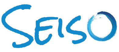 Seiso Logo Color